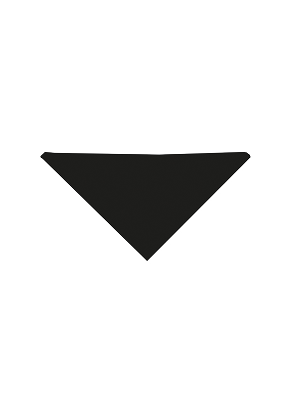 Karlowsky Halstuch in Schwarz – Vorderansicht